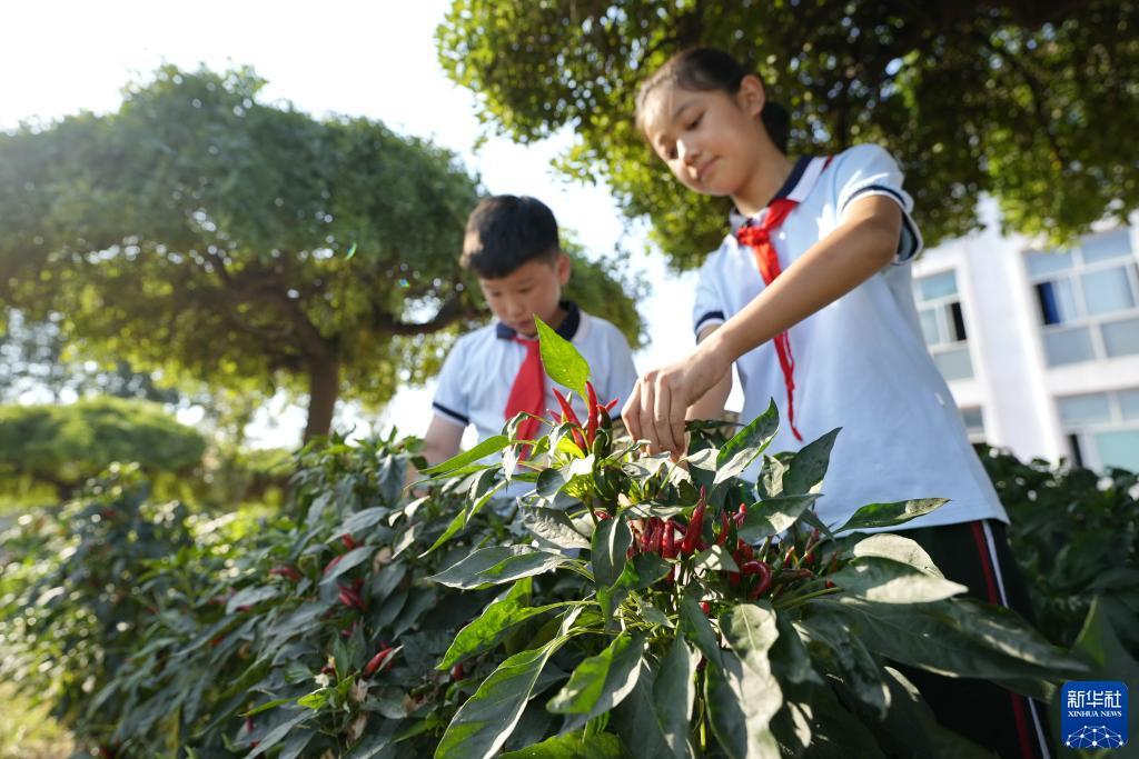 易发游戏每天送6元